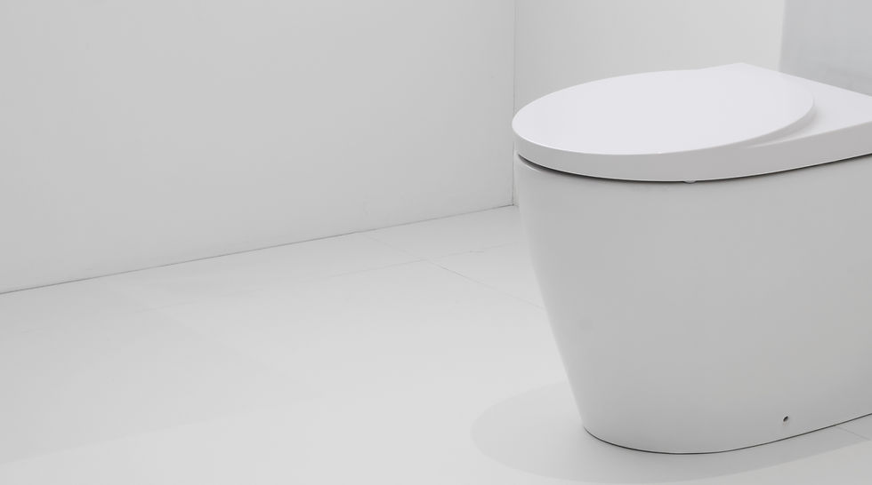 mini sl ware abous us section 2.jpg