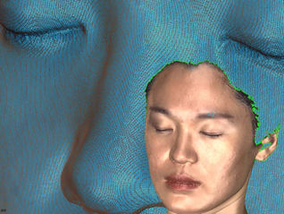 Thunk3D's Use of Optical Phase Shift Technology in 3D Scanning