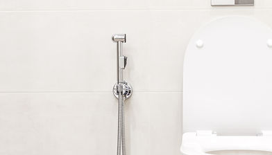 mini sl ware toilet bidet.jpg