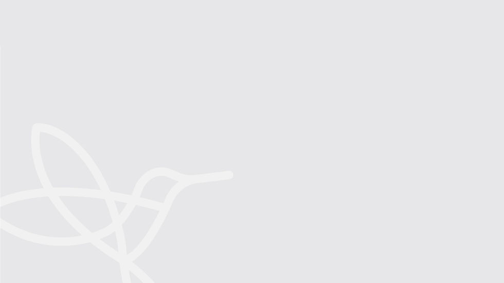 home page grey banner.jpg