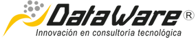 Dataware_logo