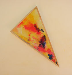 Serie: "El vuelo del colibrí II"