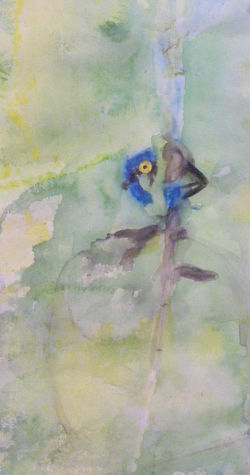 Fragmento: proyecto manchas.8024