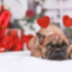 valentine's gift ideas