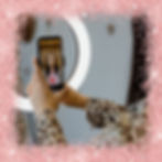 bio section, content creator, step-by-step guide