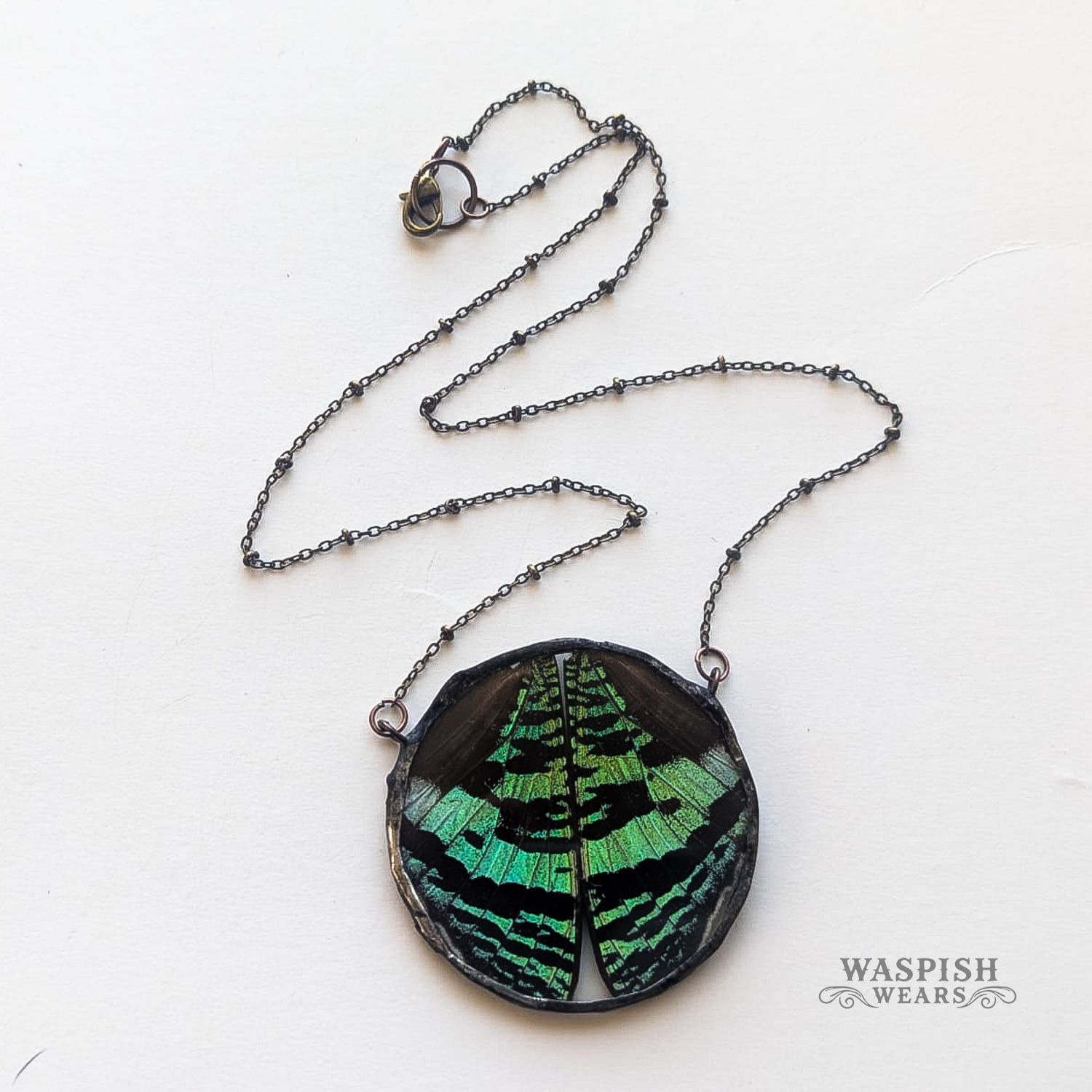 Madagascar Sunset Moth Wing Large Circle Necklace – – Vintage Radiance