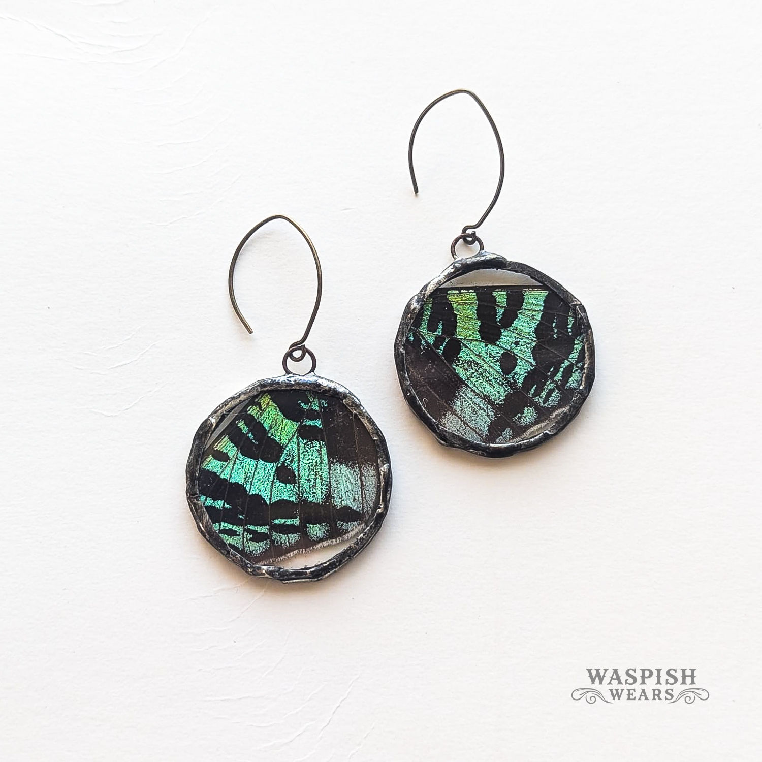 Large Circle Earrings – Madagascar Sunset Moth Wing – Vintage Radiance