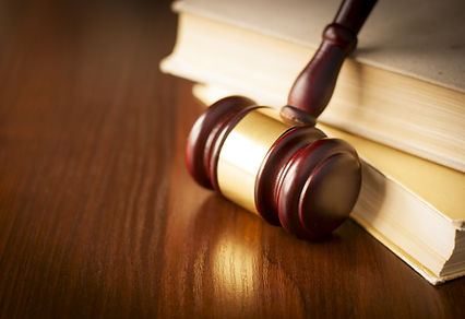 PERSONAL PROTECTION ORDER LITIGATION