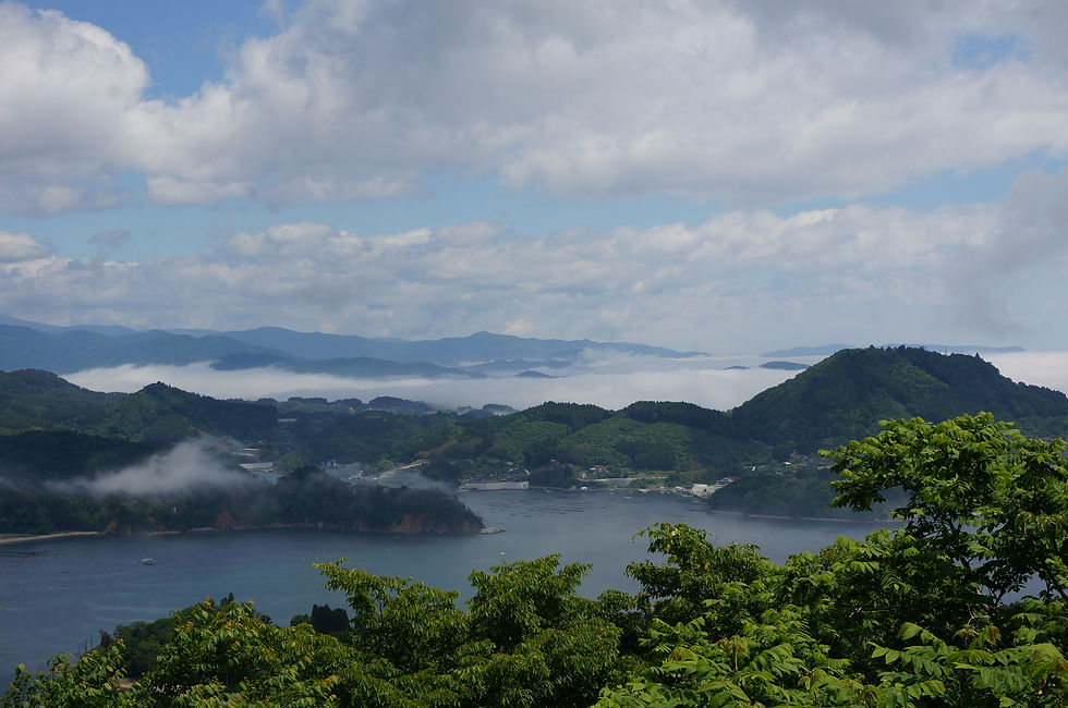 DSC04105.JPG