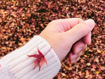 《若失去至愛，我要依然過得好》