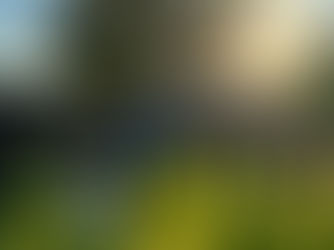 Härlig höstavslutning för juniorerna