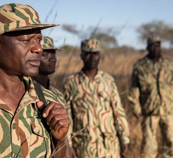 Wildlife Conservation Ngo Game Rangers International L Zambia Empowering rangers and local communities to conserve nature. wildlife conservation ngo game