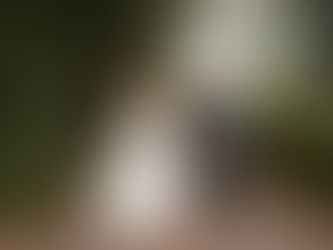 Briars Hall Wedding Photography