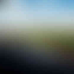 Bride and Groom in a football stadium