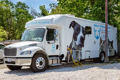 Mobile Vet Clinic For Sale