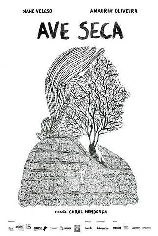 cartaz_ave_seca_web_edited.png