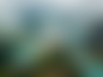 The Silence We Live In: Why So Many Homes Feel “Wrong” (and What the Earth Is Quietly Asking Us to Remember)