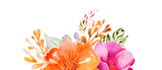 IMG_1258.PNG