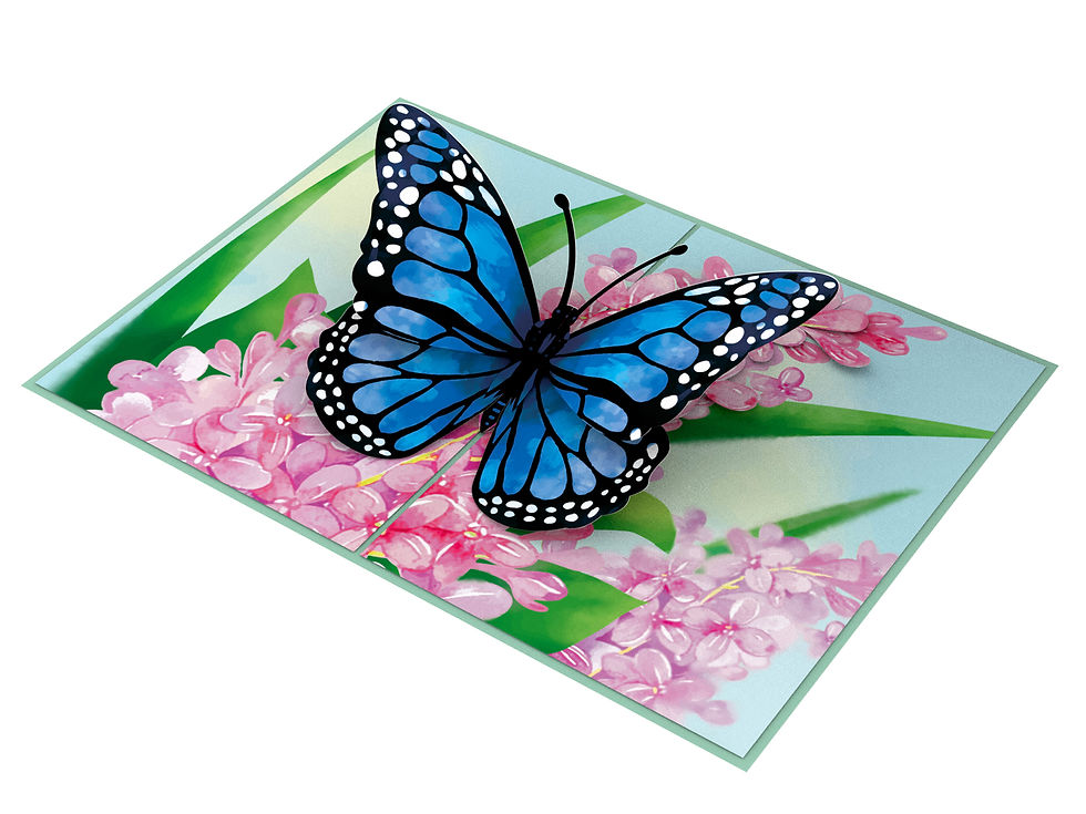 Thumbnail: PC891 - Butterfly