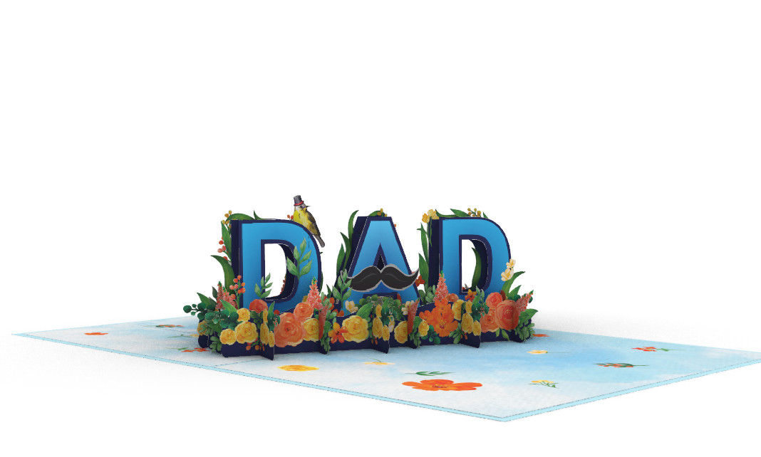 PC919 - Dad