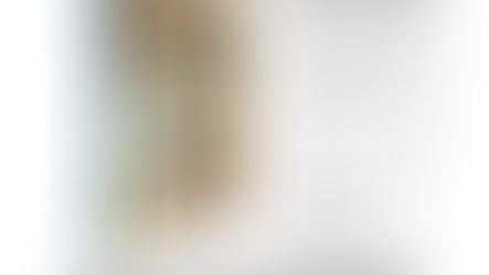 Бронза Ефима Златкина: Интервью. Рабинович Анна