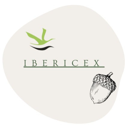 ibericex (5)_edited.jpg
