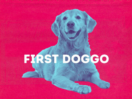 There is going to be a heckin doggo in the White House again!