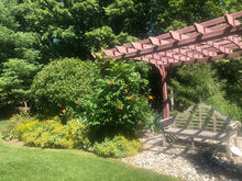 garden tour8 2022.jpeg