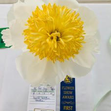 Flower Show 2021