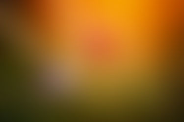 Unlocking Growth Through Strategic Acquisitions with Deal Scout