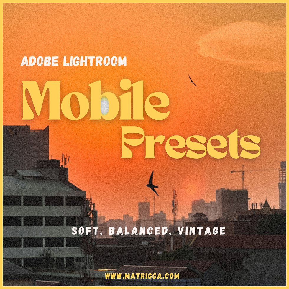 Mobile Presets I Soft & Vintage