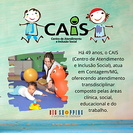 Projetos Big (3).png