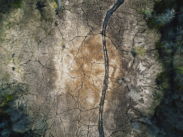 DJI_00134 (1).jpeg