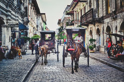The Calesas of Calle Crisologo