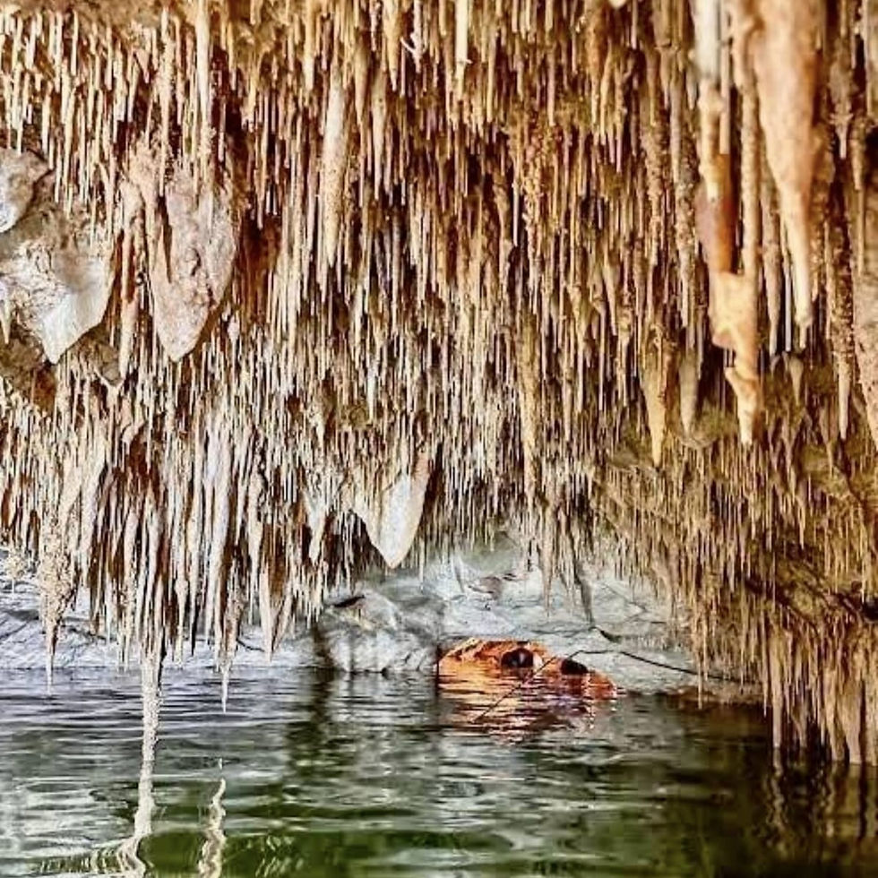 WhatsApp Image 2026-03-07 at 12.39.14 AM1.jpeg