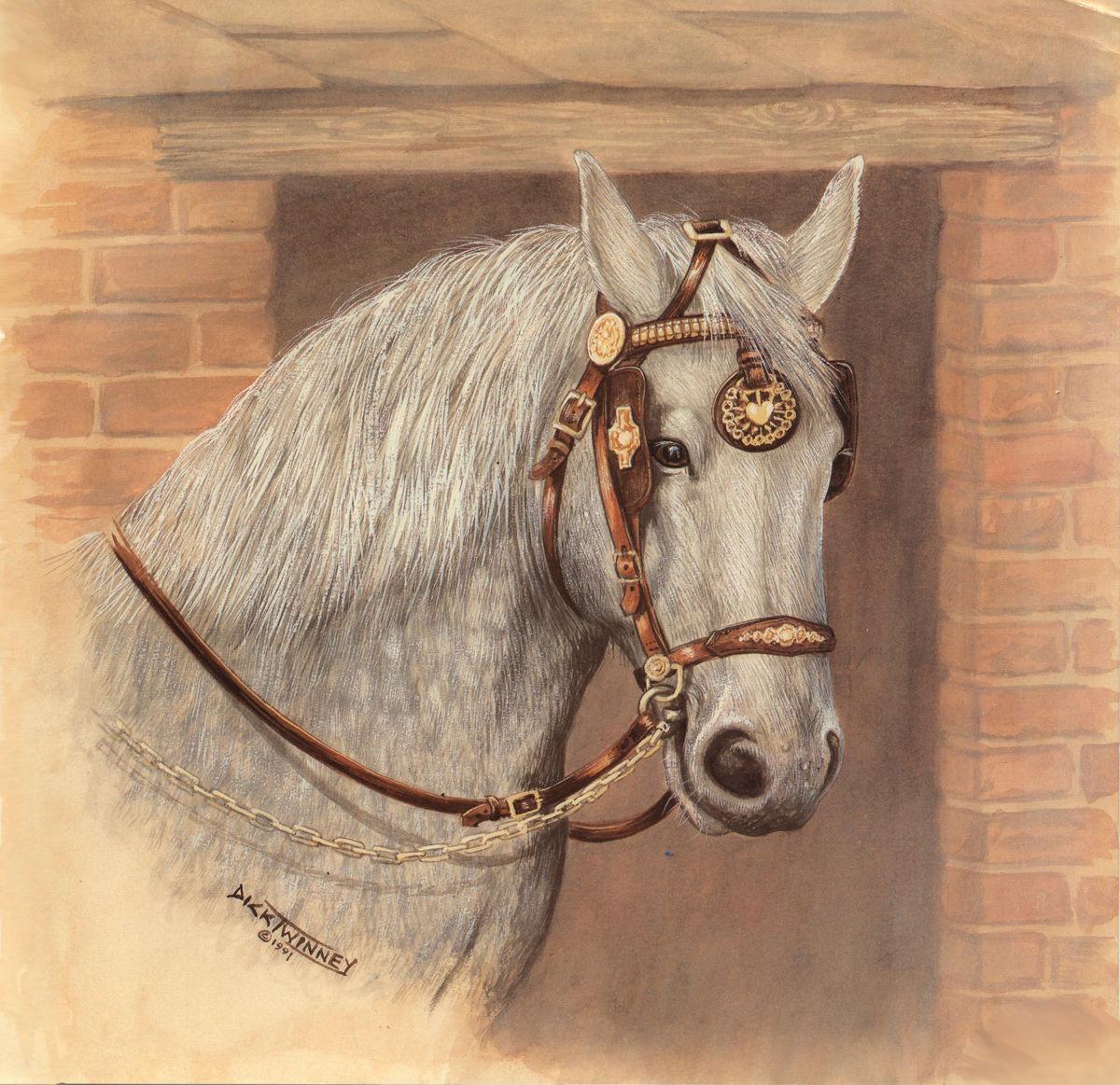Percheron