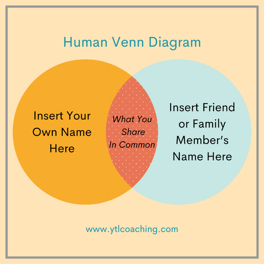 Meaningful Connections & Venn Diagrams