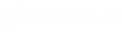 Corsair Logo