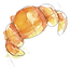 Medialuna Nudo Escudo