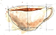 Chocolate de Nudo Escudo