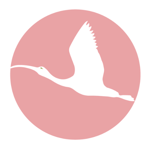 Florida & MBE Live Course Bundle