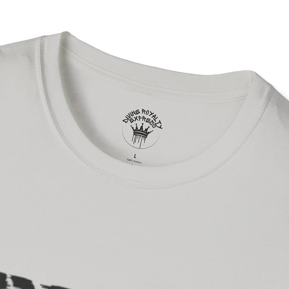 Thumbnail: Diviner Softstyle T-Shirt