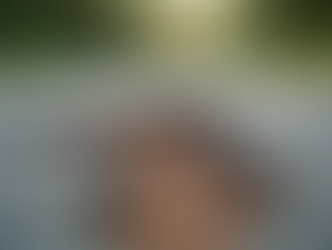 Florida Sinkhole Insurance: What You Need to Know About Sinkhole Insurance in Florida