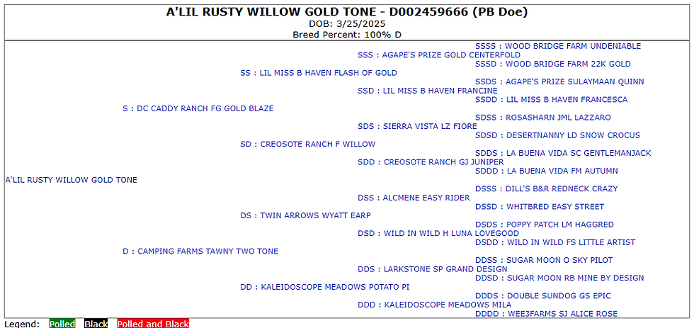 Willow Lineage 2025