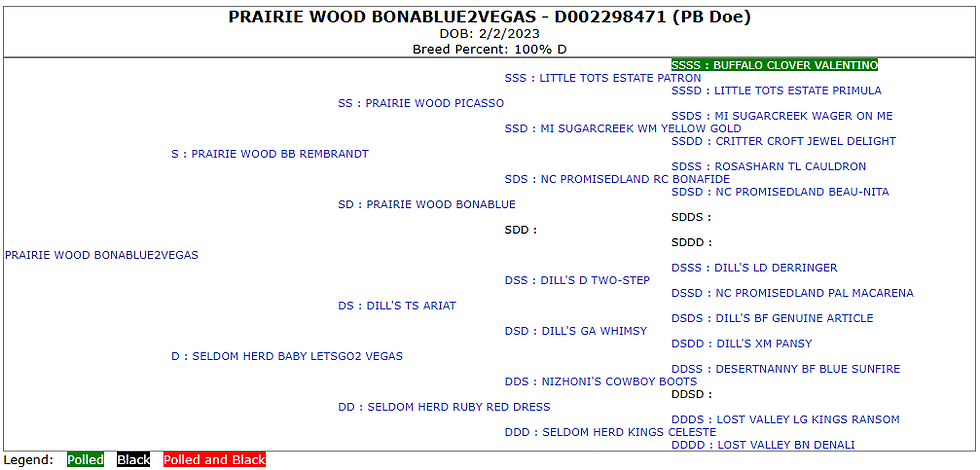 Vegas Lineage 2024