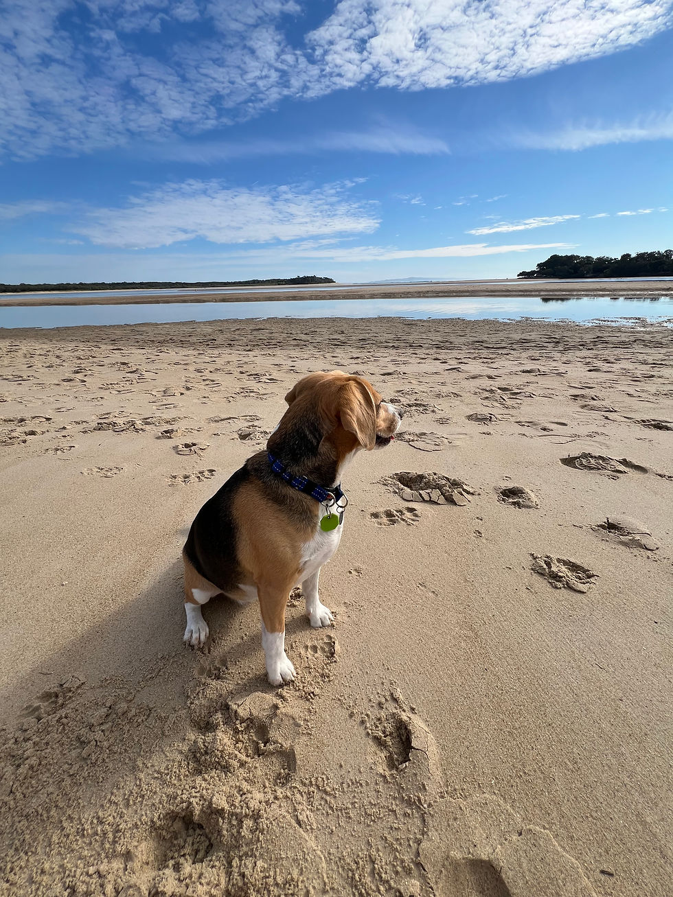 Frankie at the beach helping mum reset