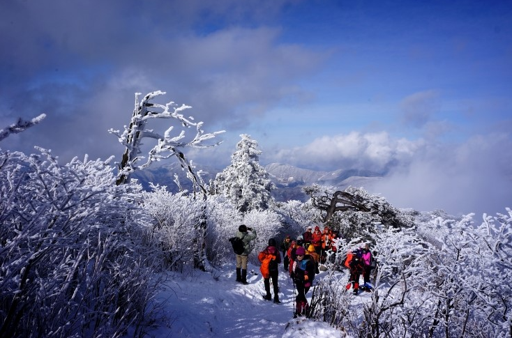beautiful scenery on taebaek snow cover