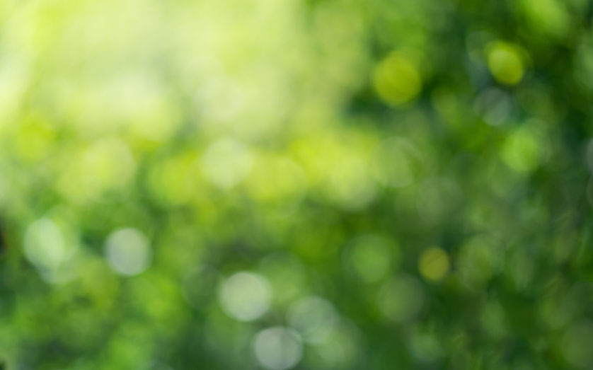 iStock-1401566997.jpg