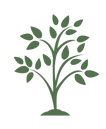 Plant Growth Graphic-09.png