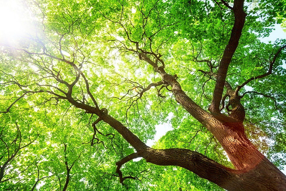 iStock-670364830.jpg